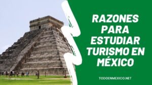 Las mejores razones para estudiar turismo en México