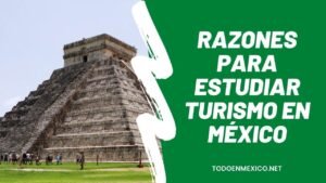 Las mejores razones para estudiar turismo en México