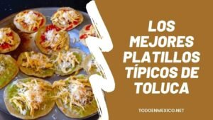 Los mejores platillos típicos de Toluca