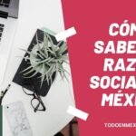 Cómo saber mi razón social o denominación en México